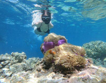 a person swimming in the water near a coral reef
