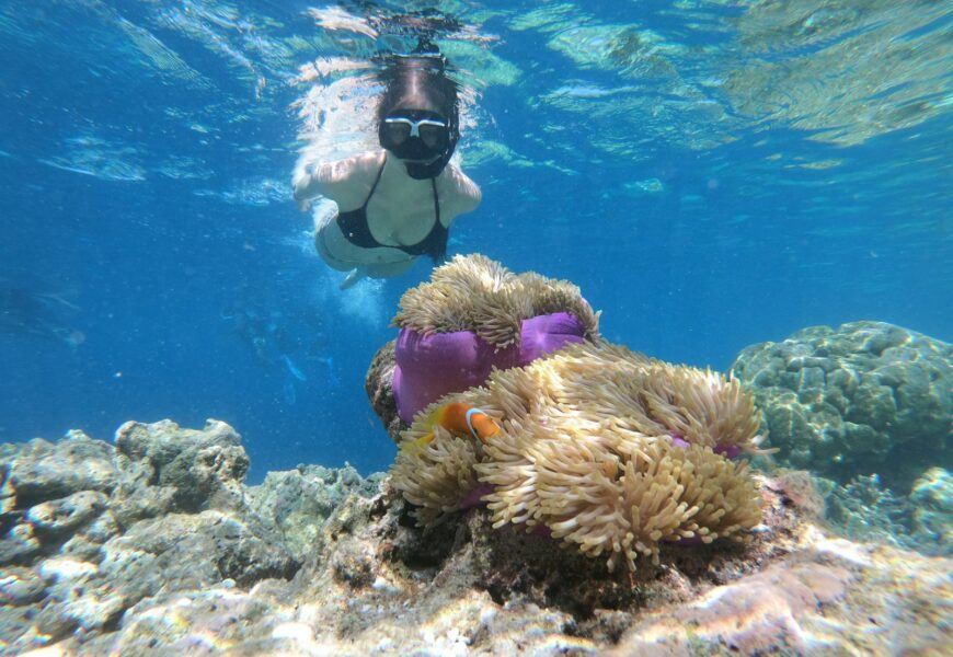 a person swimming in the water near a coral reef