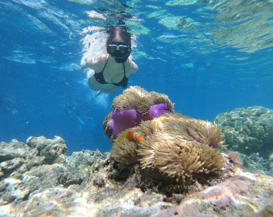 a person swimming in the water near a coral reef