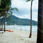 a beach with palm trees and people on it
