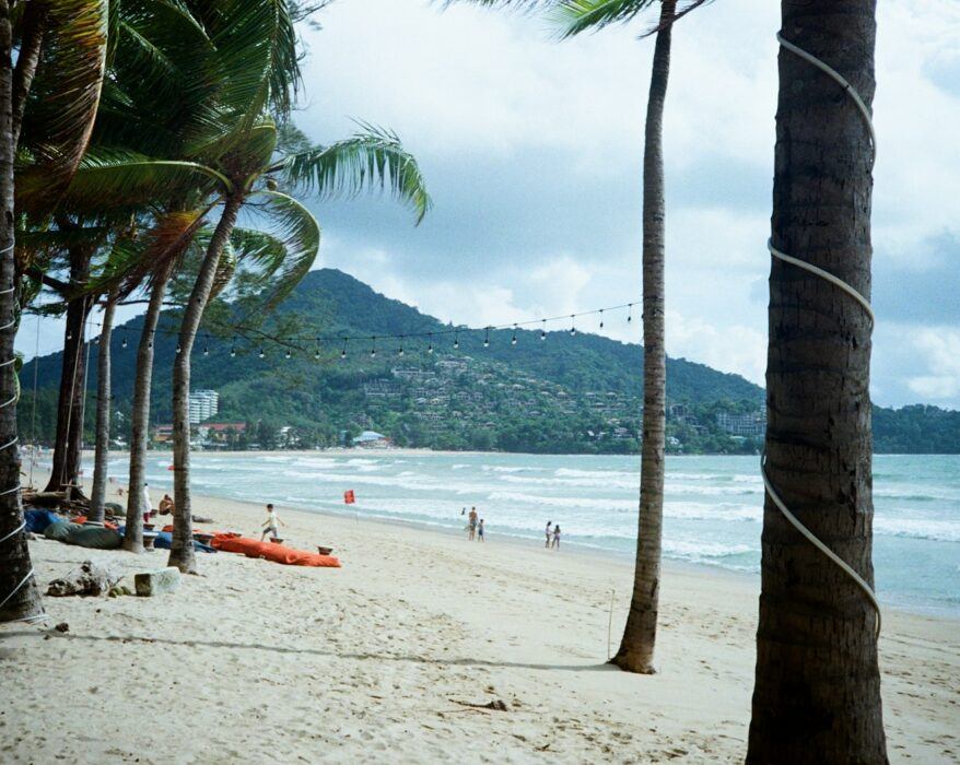 a beach with palm trees and people on it