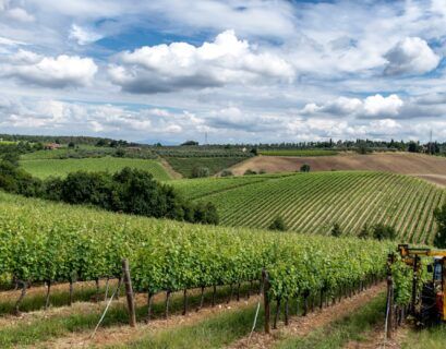 a tractor is driving through a field of crops