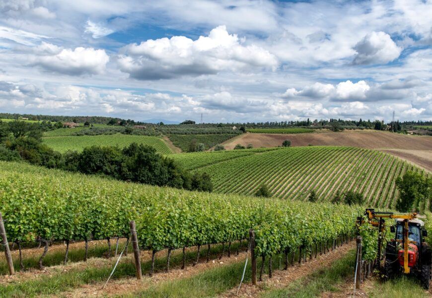 a tractor is driving through a field of crops