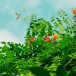 Jak znaleźć tanie loty zimą do ciepłych krajów?