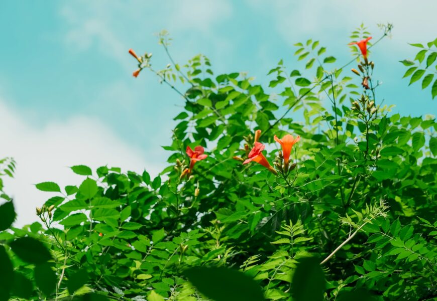 Jak znaleźć tanie loty zimą do ciepłych krajów?