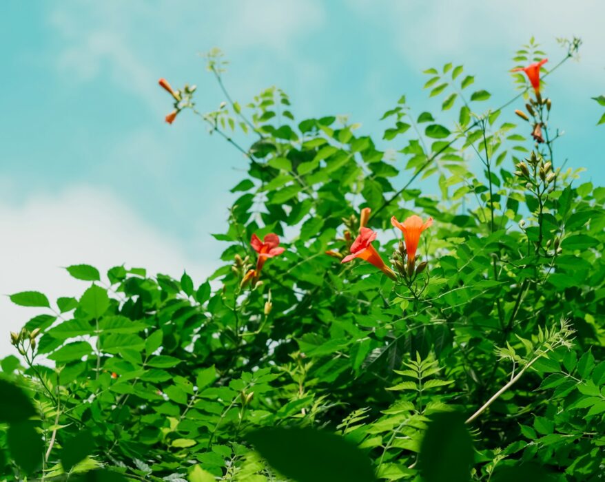 Jak znaleźć tanie loty zimą do ciepłych krajów?