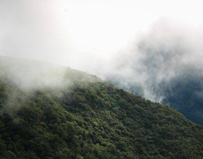 Madera zimą – raj dla miłośników przyrody i aktywnego wypoczynku