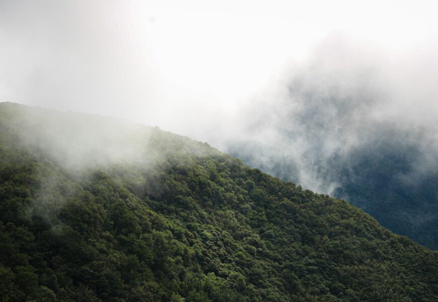 Madera zimą – raj dla miłośników przyrody i aktywnego wypoczynku