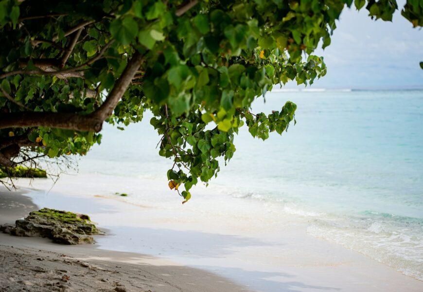 Malediwy w środku zimy: Prywatne wyspy i rajski wypoczynek