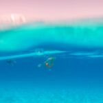 Sharm El Sheikh: Raj dla miłośników snorkelingu i luksusu w środku zimy