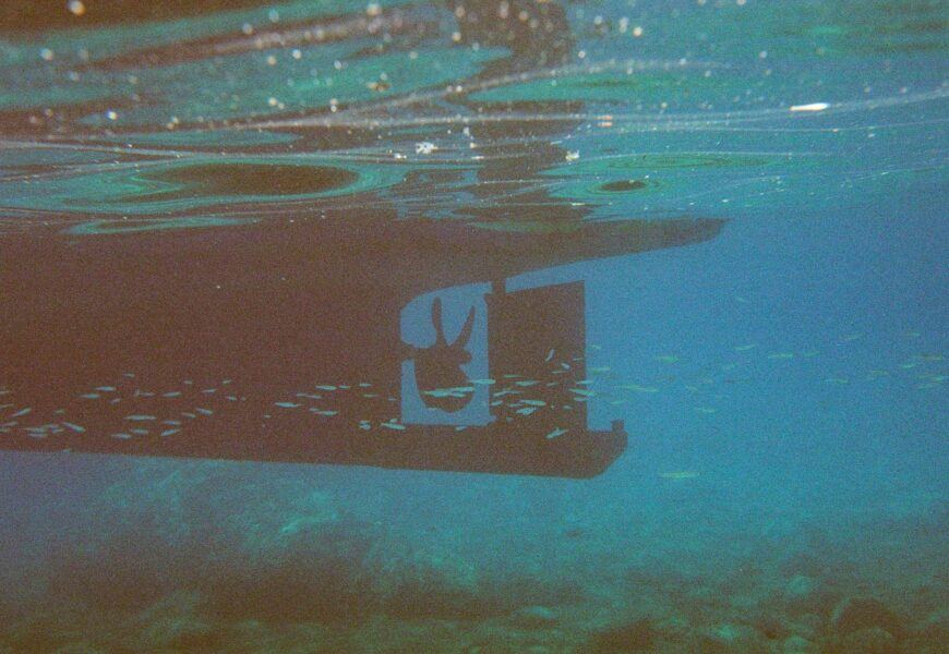 Top 5 miejsc na snorkeling zimą – gdzie lecieć na przygodę pod wodą?