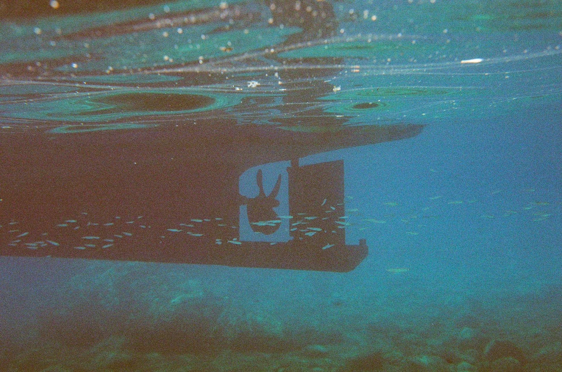 Top 5 miejsc na snorkeling zimą – gdzie lecieć na przygodę pod wodą?