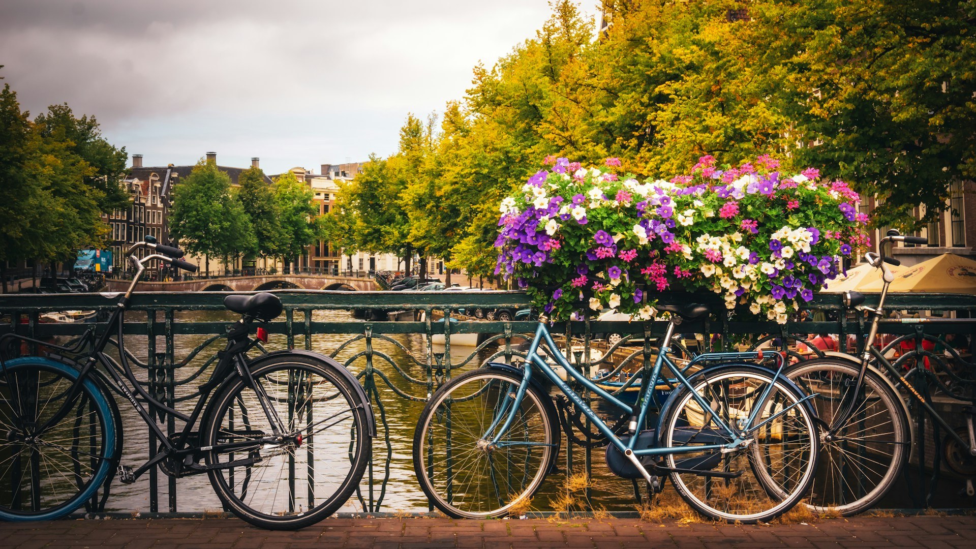 Weekend w Amsterdamie: Kanały, rowery i atrakcje rodzinne