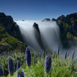 Weekend zimą na Maderze – co zobaczyć i jak się przygotować?