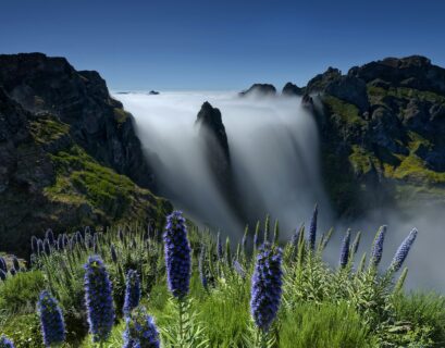 Weekend zimą na Maderze – co zobaczyć i jak się przygotować?