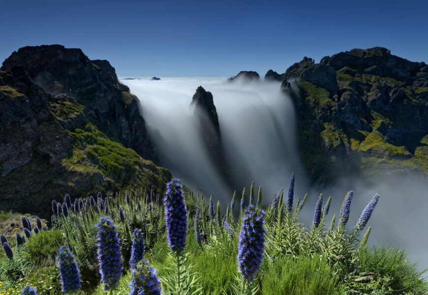 Weekend zimą na Maderze – co zobaczyć i jak się przygotować?