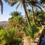 Wiedeń dla par – najlepsze atrakcje na romantyczny wyjazd