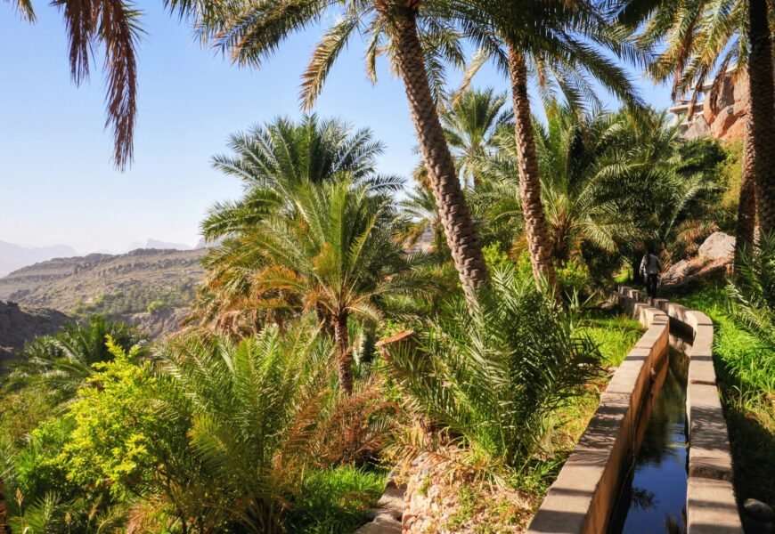 Wiedeń dla par – najlepsze atrakcje na romantyczny wyjazd